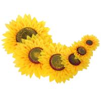 uploads/erp/collection/images/Home Garden/CongDing/XU0611862/img_b/XU0611862_img_b_5